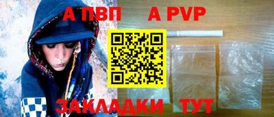 шишки Дубна