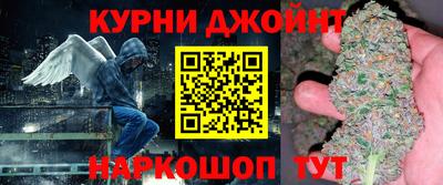 шишки Дубна