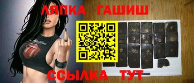 шишки Дубна